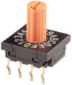 FR01-Series 10mm DIP Rotary Switches